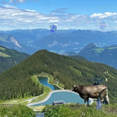 Royal Swan Appartement, Tirol Apartment *