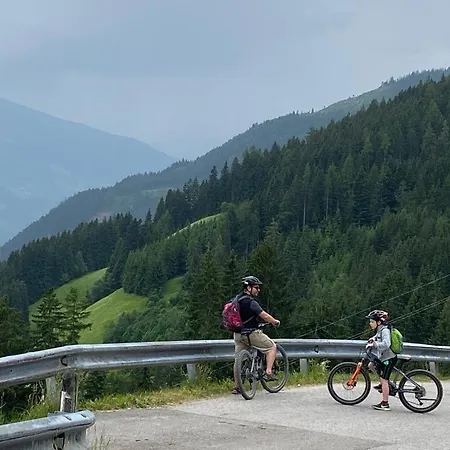Royal Swan Appartement, Tirol * Fuegen