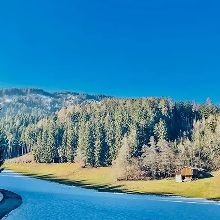 Apartment Royal Swan Appartement, Tirol