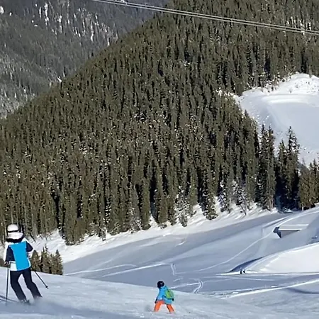 Royal Swan Appartement, Tirol Apartment *