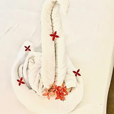 Royal Swan Appartement, Tirol Lägenhet *