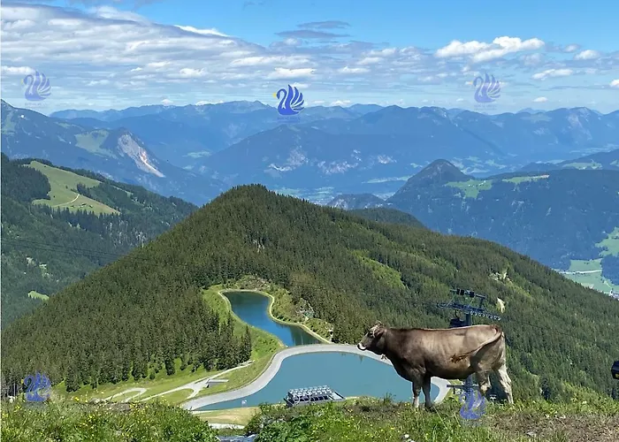 Royal Swan Appartement, Tirol 公寓 *