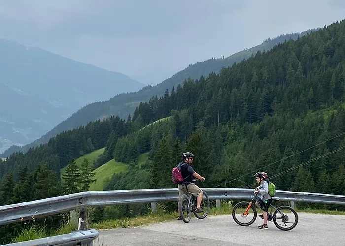 Royal Swan Appartement, Tirol * 菲根