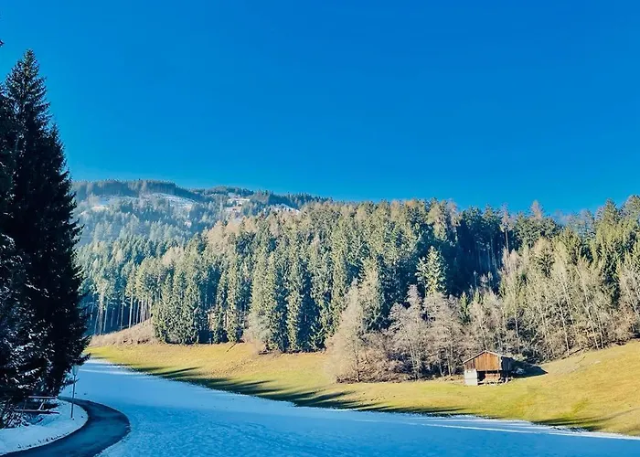 公寓 Royal Swan Appartement, Tirol