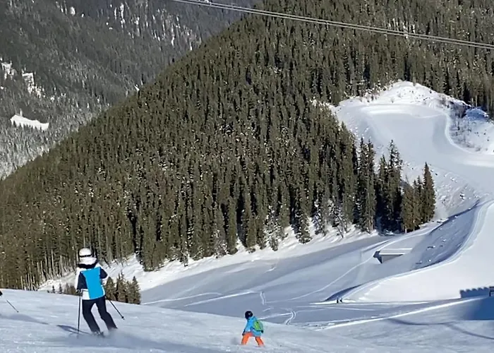 Royal Swan Appartement, Tirol 公寓 *