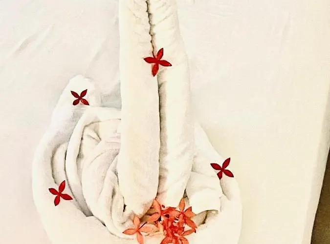 Royal Swan Appartement, Tirol 公寓 *