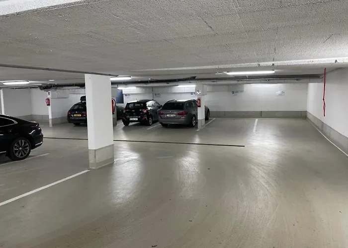 公寓 Royal Swan Appartement, Tirol 菲根